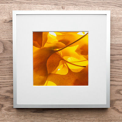 zu Ginkgo-2 im Art-Shop