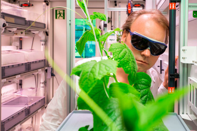 Wissenschaftsfotografie - Bremen